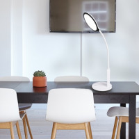 Настольный LED светильник Feron DE1730 