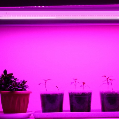 Линейный LED светильник для растений Feron AL7001 14W